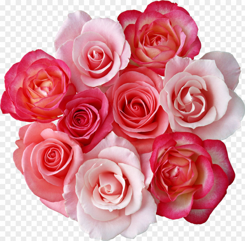 Satin Rose Flower Bouquet Cut Flowers Clip Art PNG