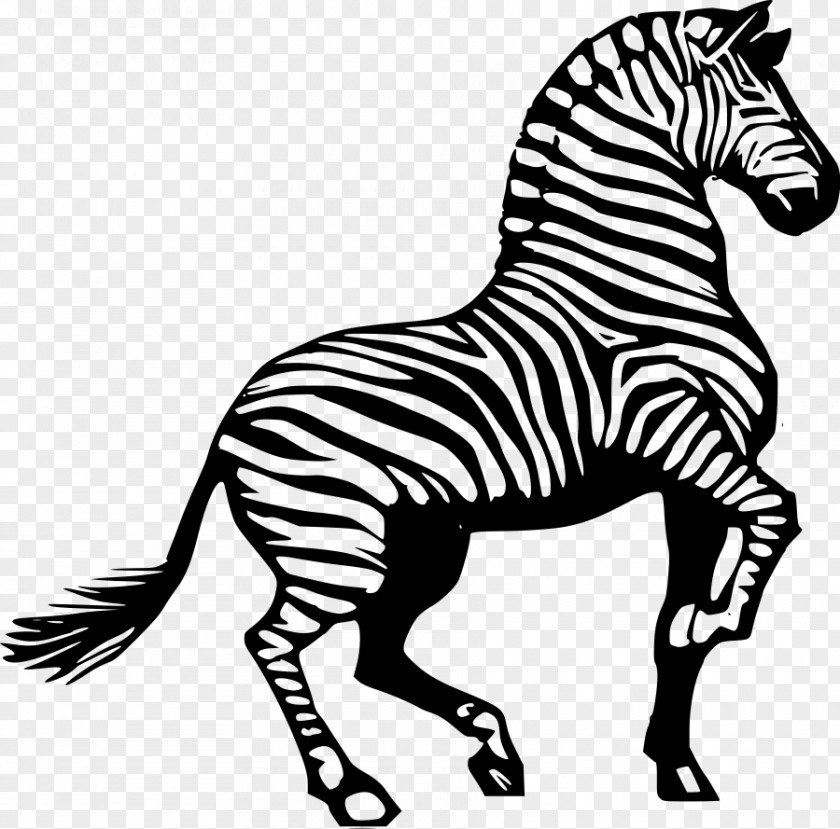 Animated Zebra Cliparts Horse Black And White Clip Art PNG