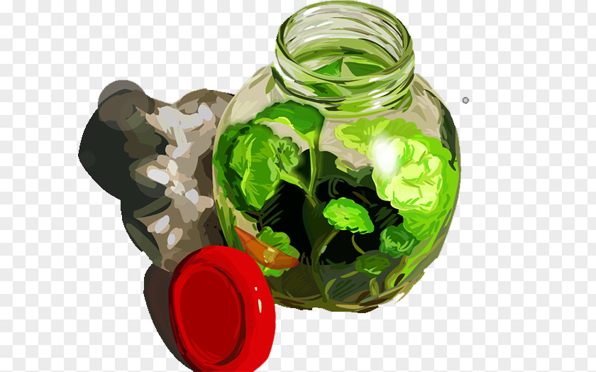 Bottle Download Landscape PNG