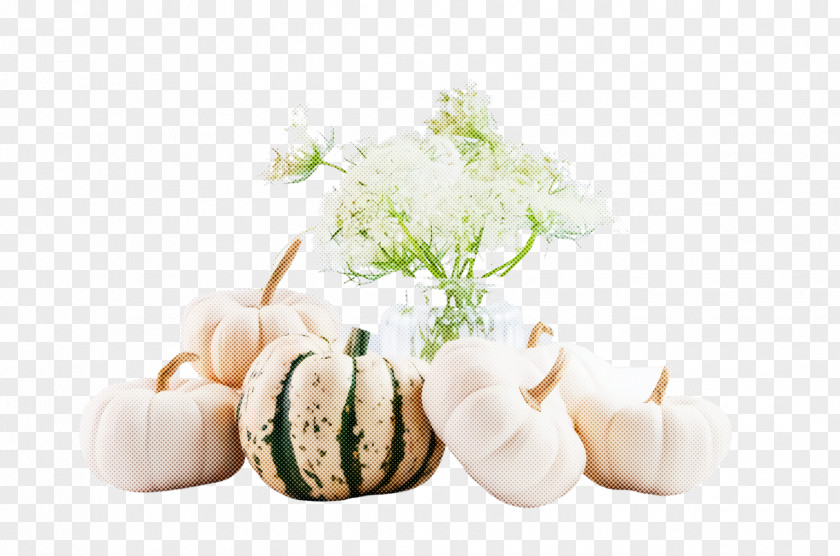 Cheese Plant Food Dairy PNG