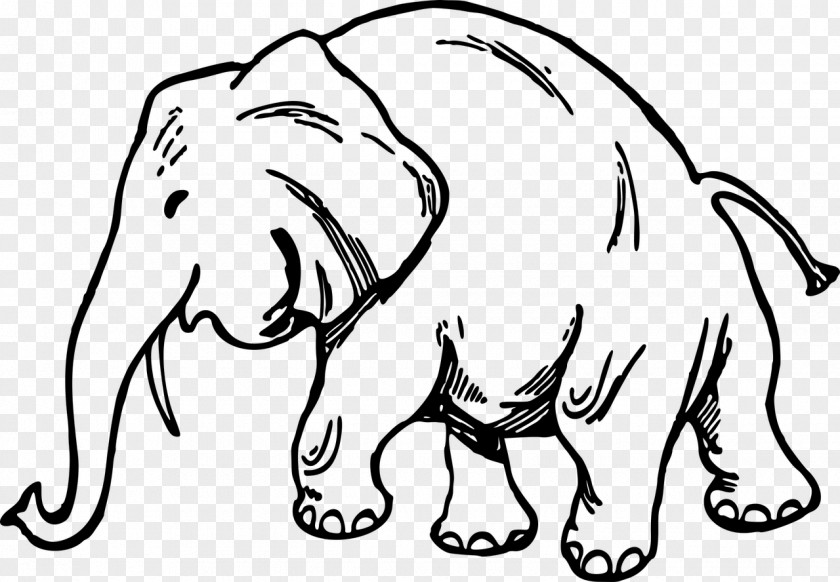 Elephants Whiskers Drawing Elephantidae PNG