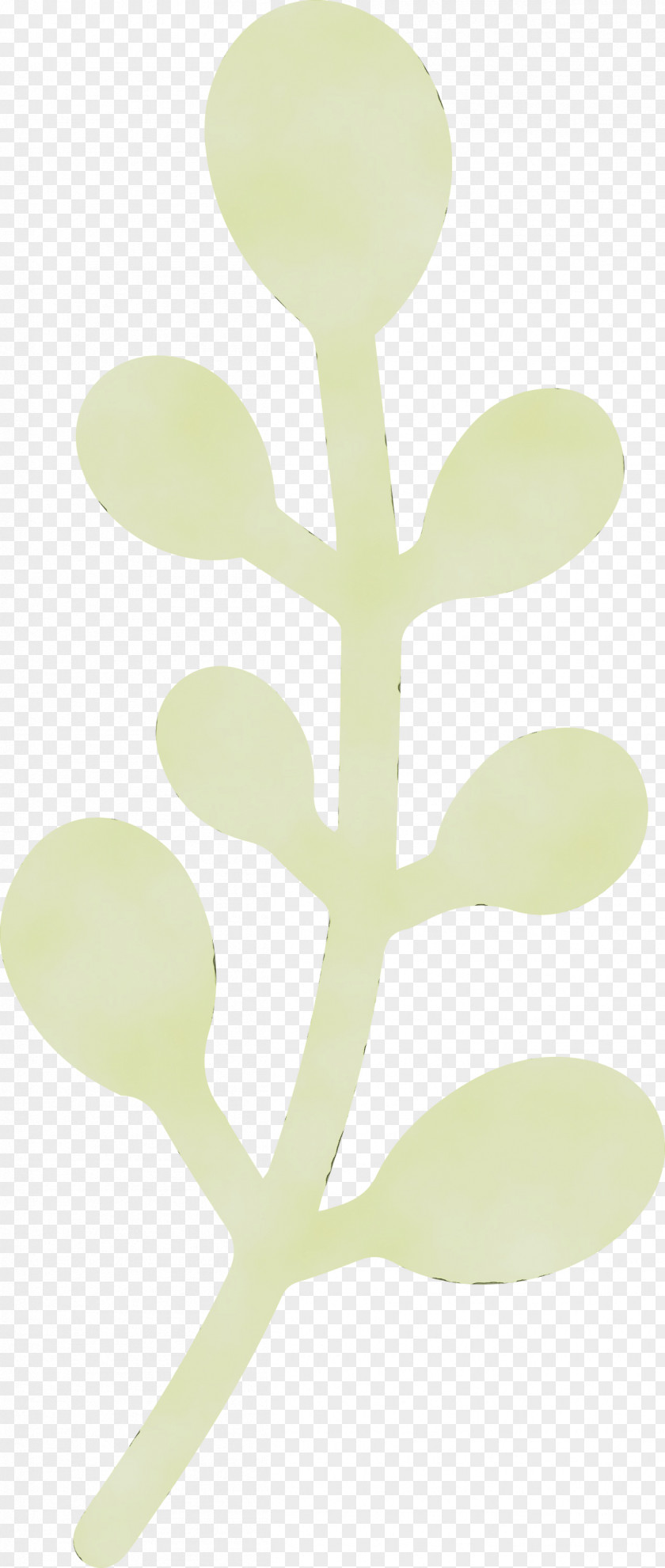 Plant Stem Plants Science Biology Structure PNG