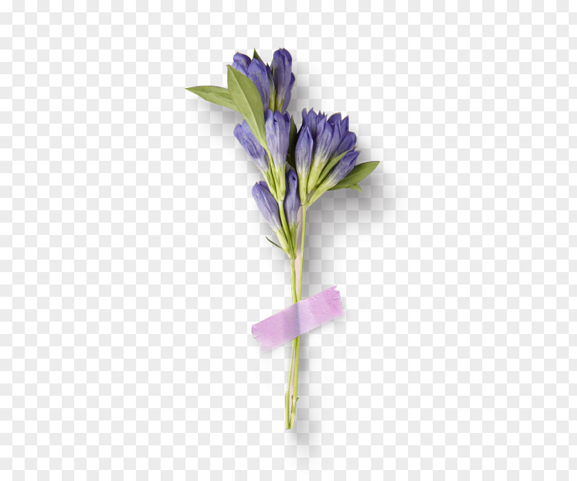 Purple Flower Bouquet Cut Flowers PNG