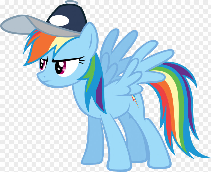 Rainbow Pony Dash Horse PNG