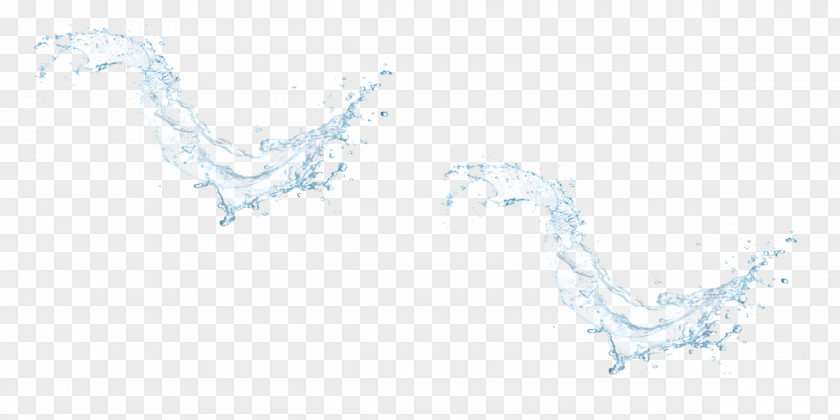 Water Line Art Tree Point Sketch PNG