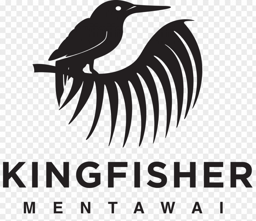 Bird Logo Beak Kingfisher Mentawai Resort Surfing PNG