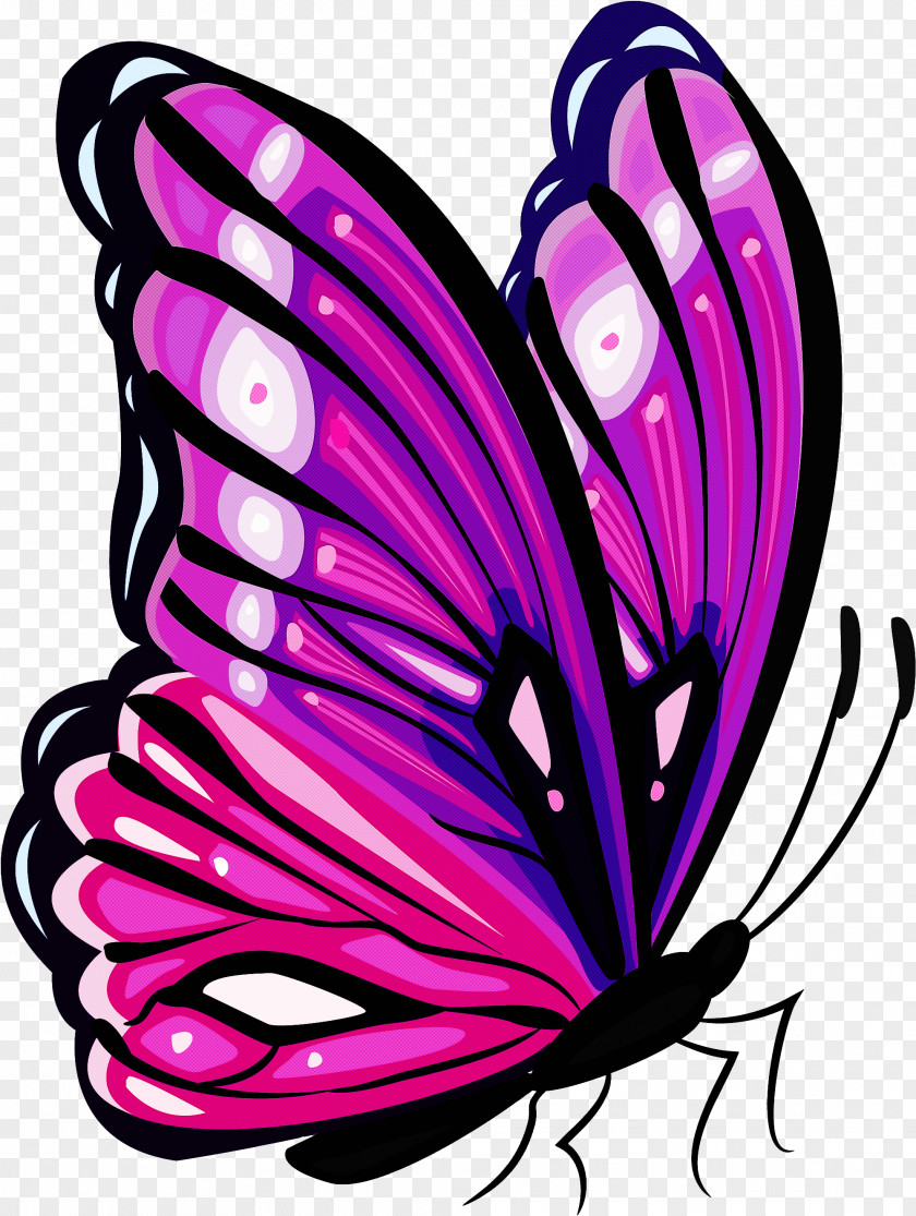 Brushfooted Butterfly Pink Moths And Butterflies Purple Wing Insect PNG