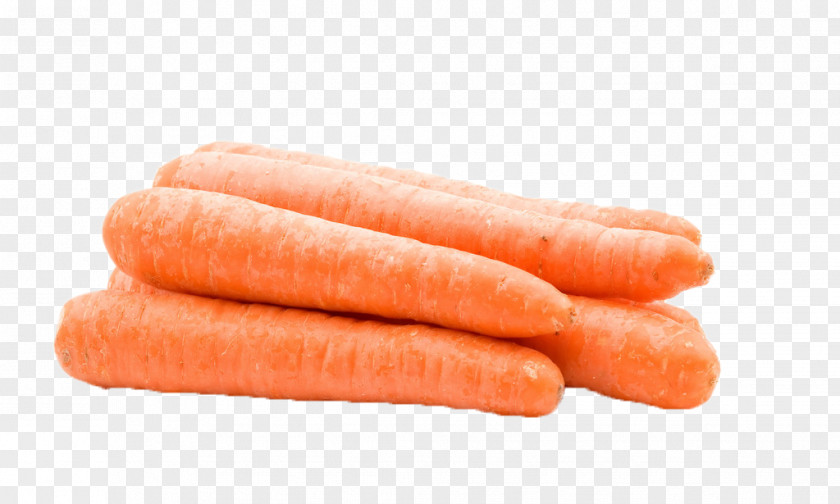 Carrot Fly Root Vegetables Disease PNG