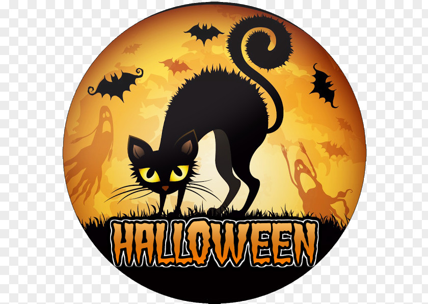 Cat Black Halloween Kitten Costume PNG