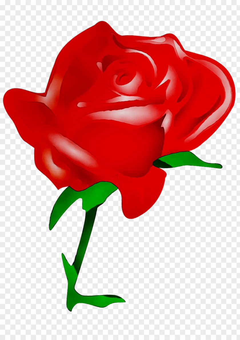 Clip Art Openclipart Valentine's Day Rose Free Content PNG