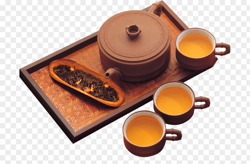 Cup Huu1ebf Museum Of Royal Fine Arts Ginger Tea Cu1eeda Hxe0ng Trxe0 U0110u1ee9c Phu01b0u1ee3ng Da Hong Pao PNG