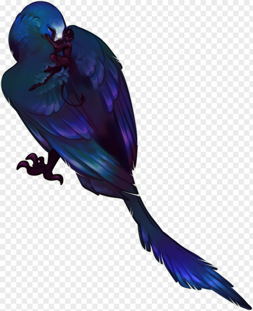 Overbearing DeviantArt Macaw Drawing Parakeet PNG