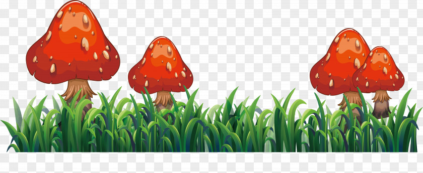 Red Mushroom Flower Euclidean Vector Clip Art PNG