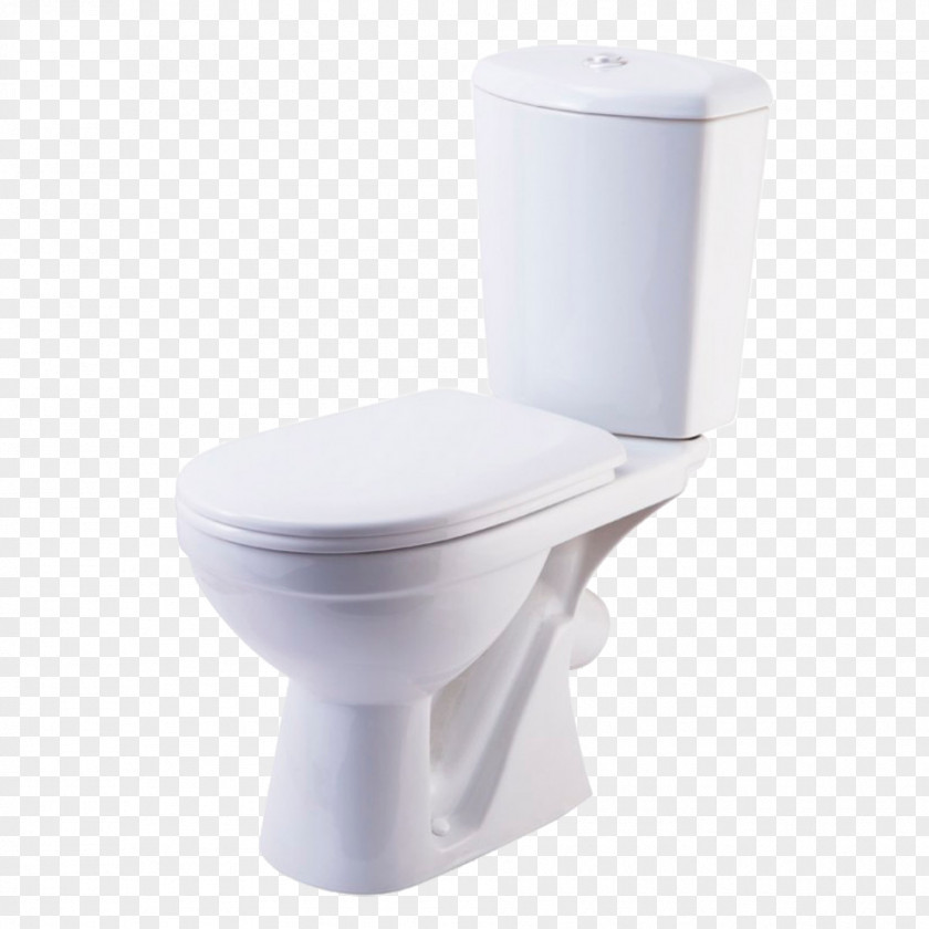 Toilet Dual Flush Plumbing Fixtures Bidet Shower PNG