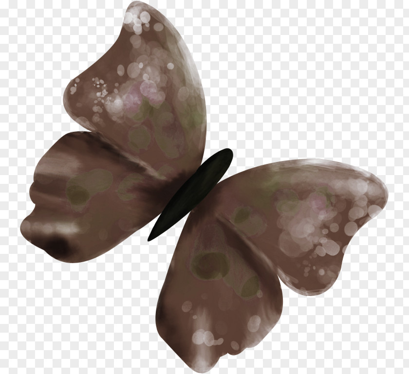 Beautiful Brown Butterfly Jewelry Papillon Dog PNG