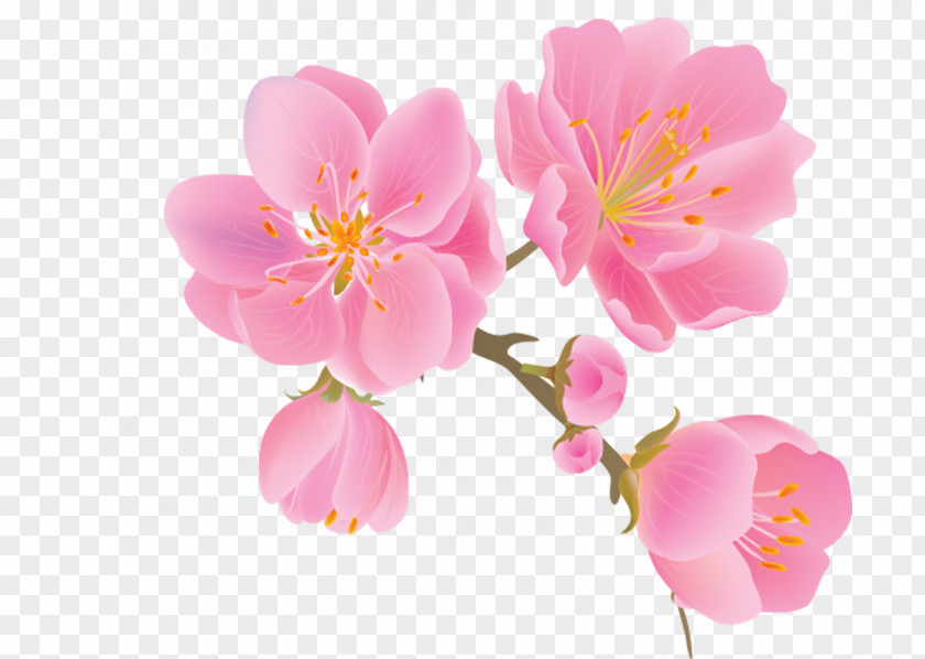 BLOSSOM Flower Paradise Apple Tree PNG