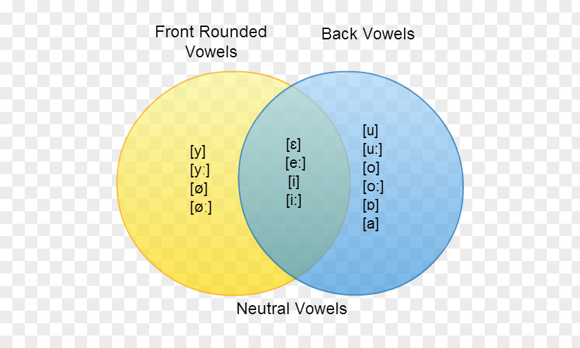 Hungarian Phonology Back Vowel Phonetics PNG