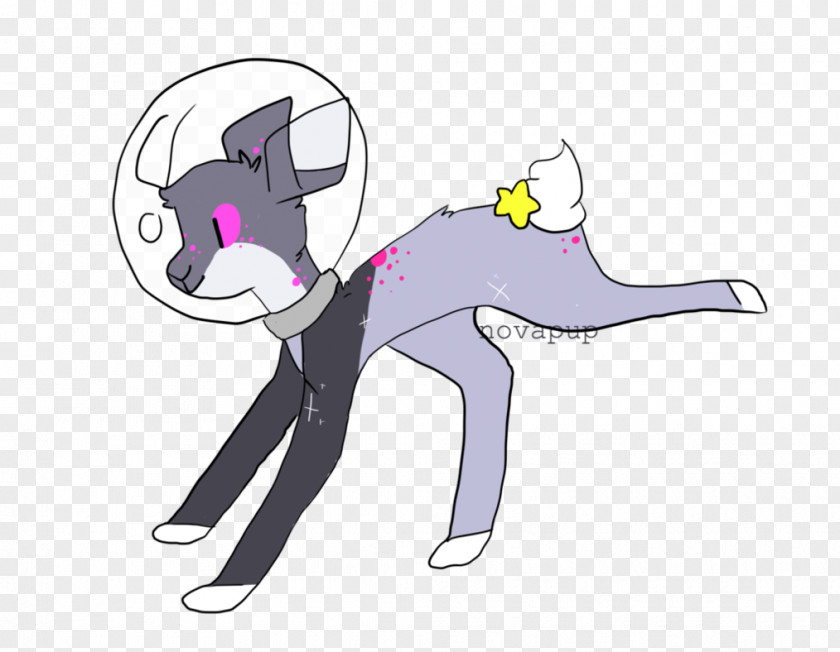 Kitten Cat Horse Dog Illustration PNG