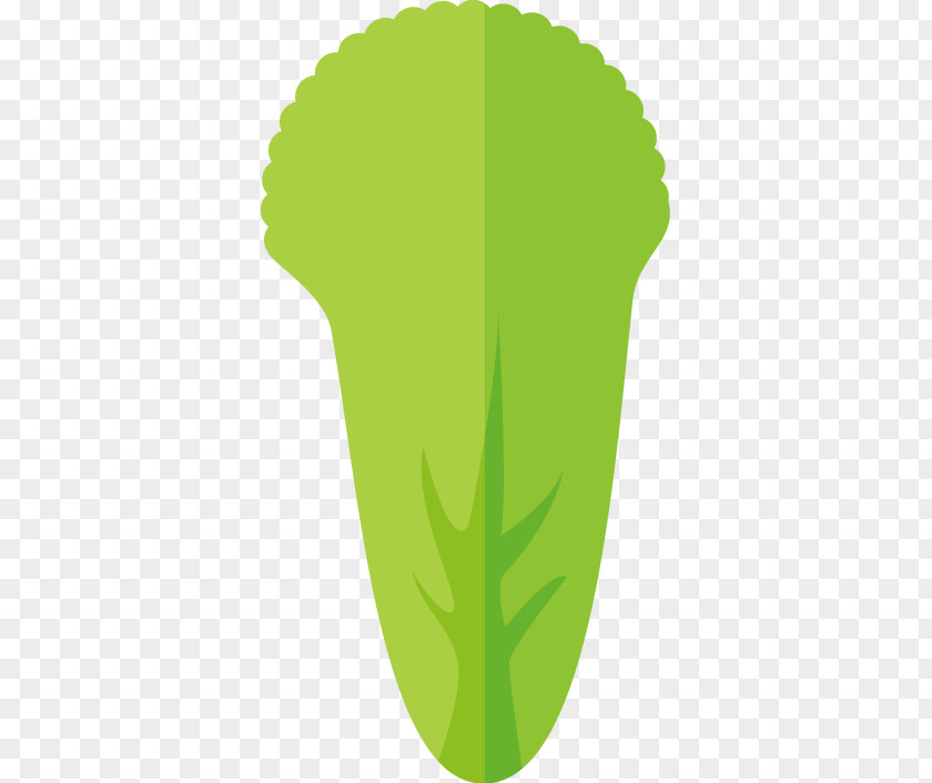 Vector PPT Creative Design Icon Green Cabbage PNG