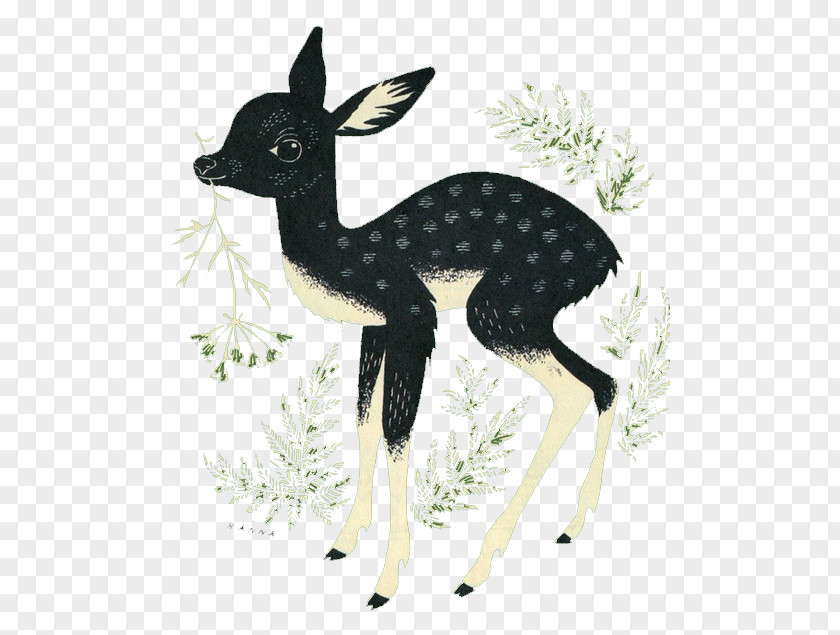 Deer Artist PNG