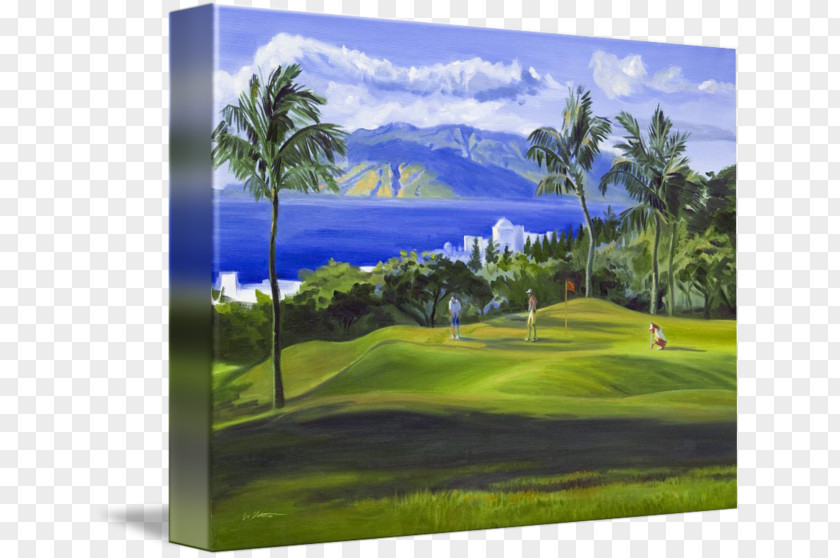 Golf Wailea, Hawaii Course Visual Arts Painting PNG