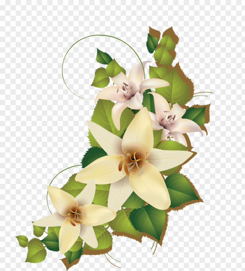 Lily Cluster PNG