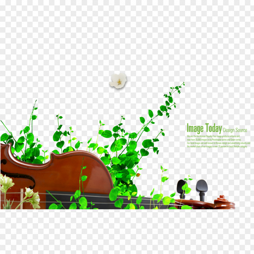 Photos Notes Musical Note Violin Poster PNG