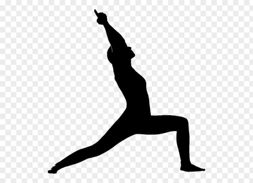 Yoga Ashtanga Vinyasa Silhouette Be A Warrior Not Worrier: An Enlightening Approach To Conquering 12 Everyday Worries Virabhadrasana I PNG