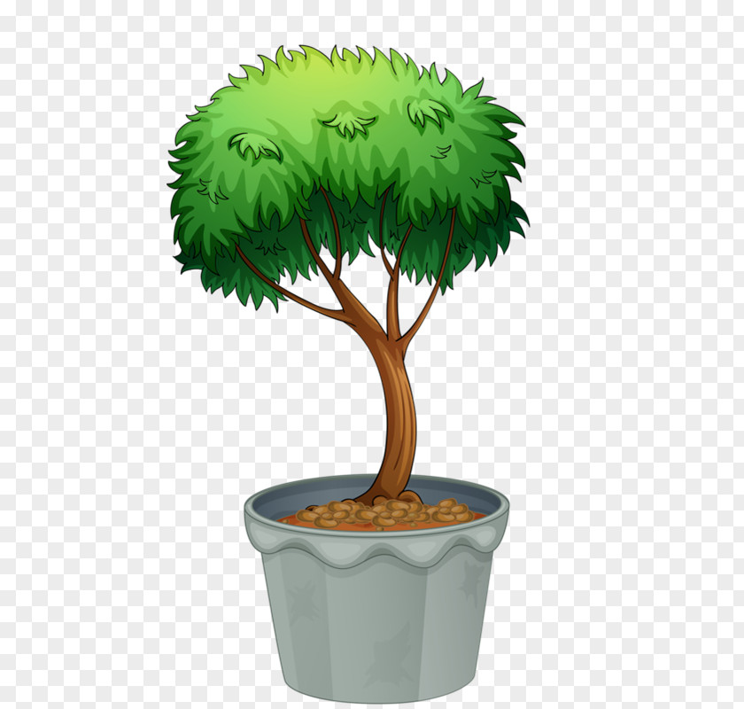 Flowering Bonsai Cactus Tree Flowerpot Drawing Clip Art PNG