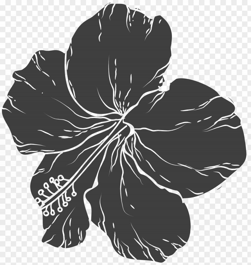 Hand-painted Floral Design Black And White Flower PNG
