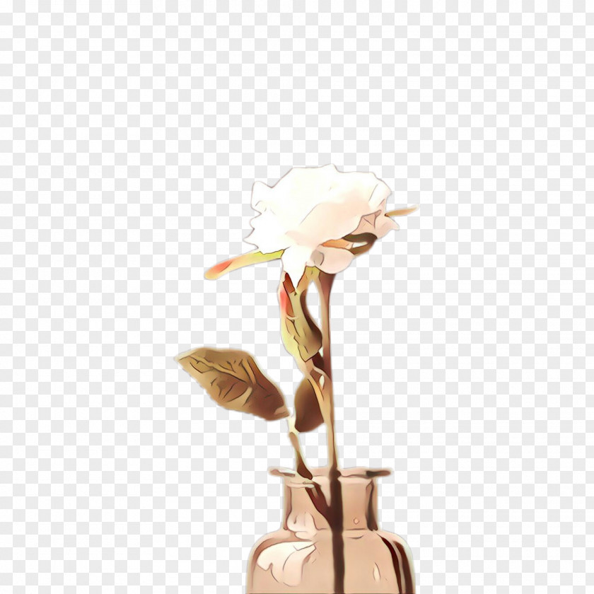 Lamp Beige Plant Flower Anthurium PNG