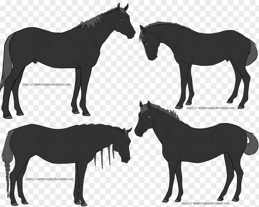 Western Shooting Horse Mule Pony Foal Mare Stallion PNG