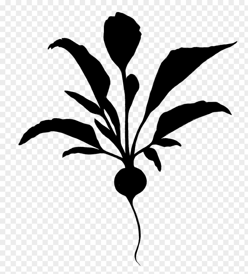 Clip Art Flower Leaf Plant Stem Silhouette PNG