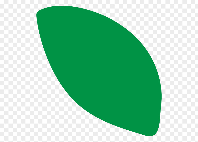 Graphics Product Design Leaf Line PNG