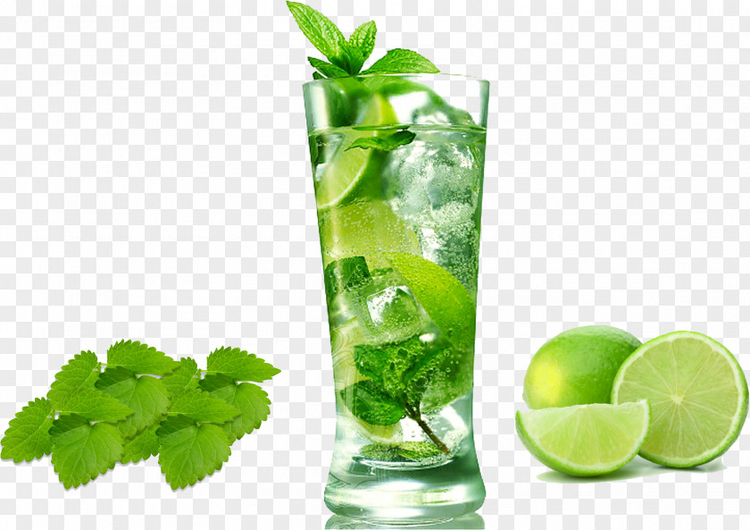 Lemonade Mojito Cocktail Carbonated Water Cuban Cuisine Rum PNG