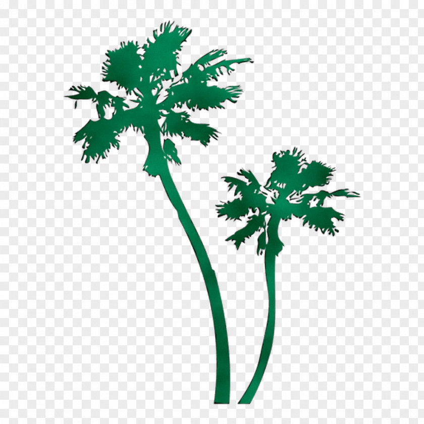 Palm Trees Leaf Greens Plant Stem Flower PNG