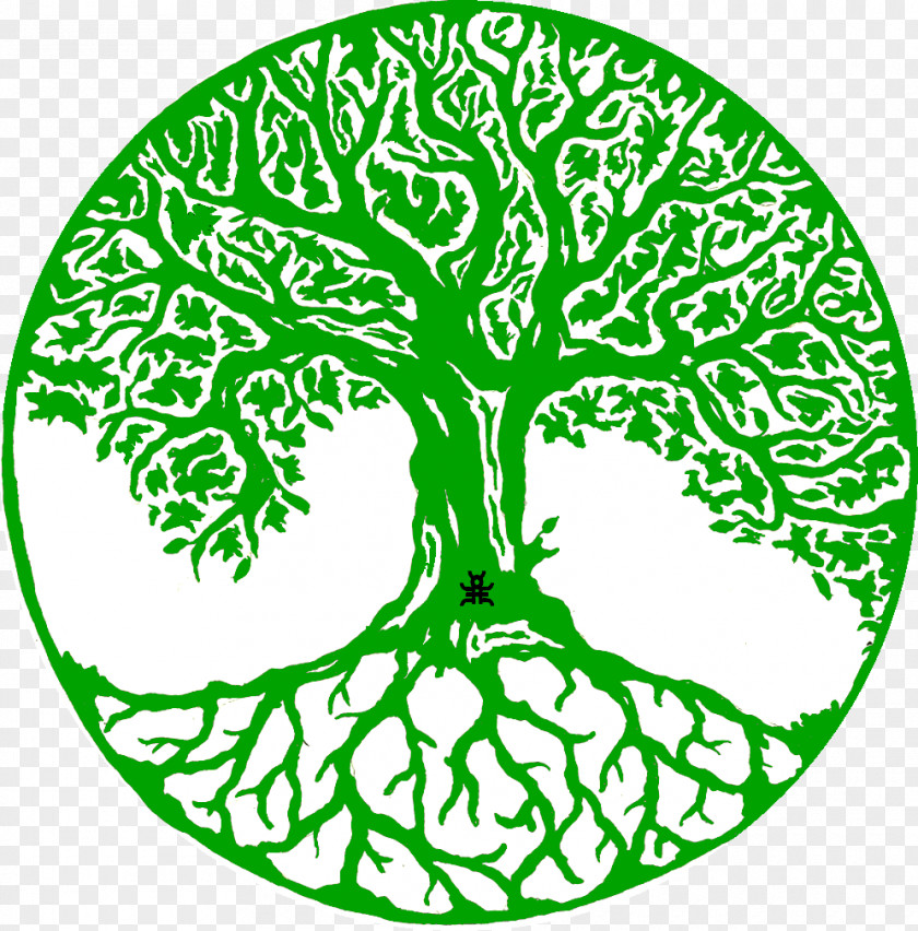 Tree Of Life Drawing Decal PNG