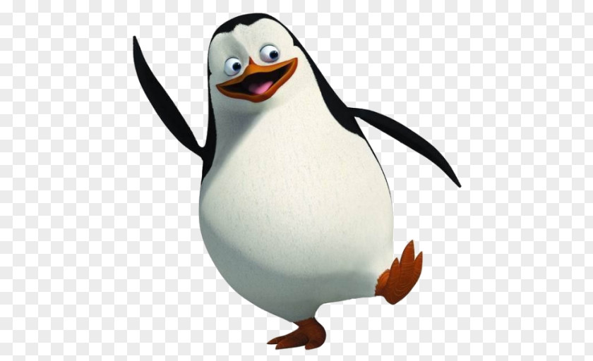 Animation Charming Villain Kowalski Skipper Madagascar PNG