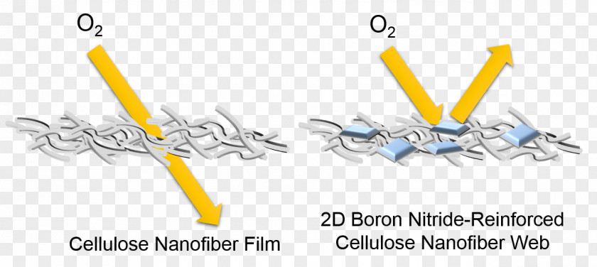 Boron Nitride Nanosheet Nanofiber Cellulose PNG