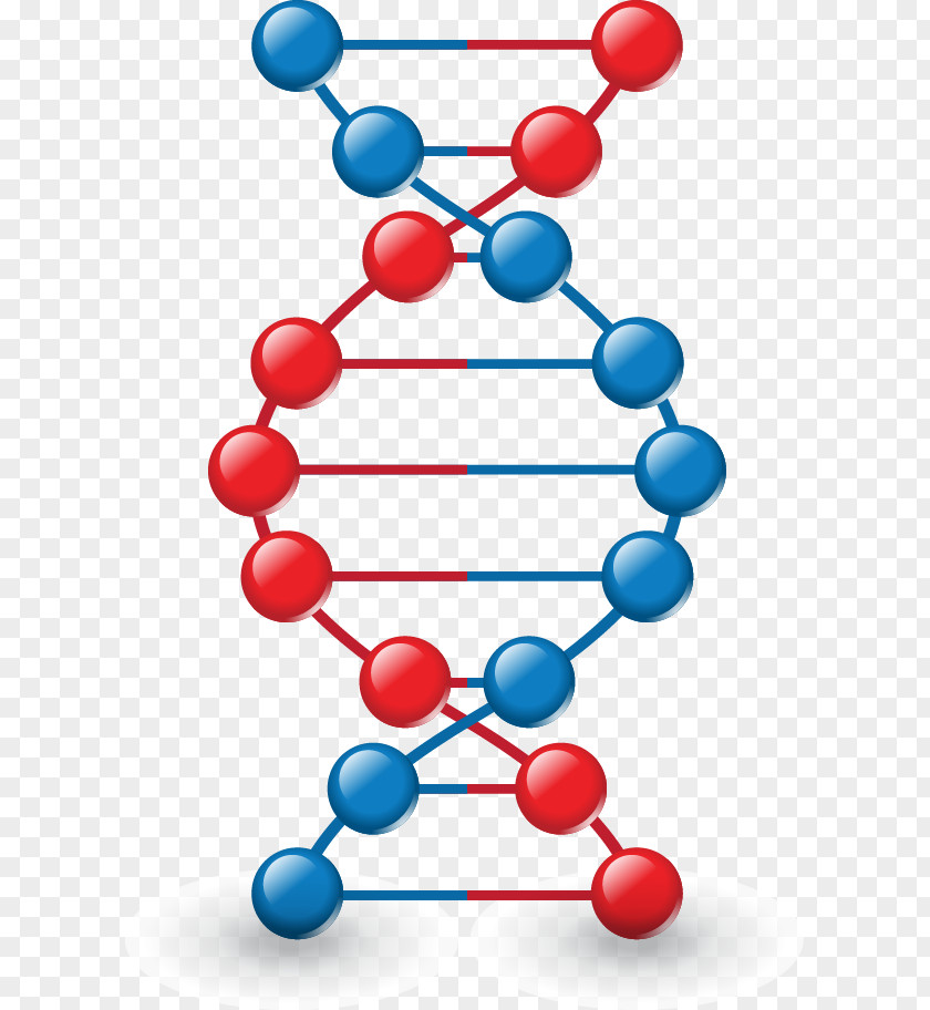 DNA Vector Model Icon PNG