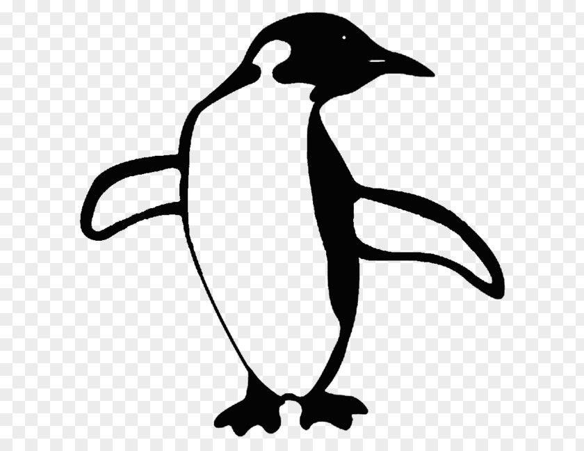 Penguin Illustration Vector Graphics Stock Photography PNG