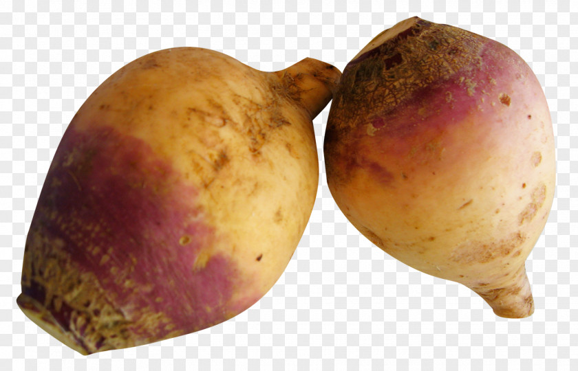 Rutabaga Vegetable Turnip PNG