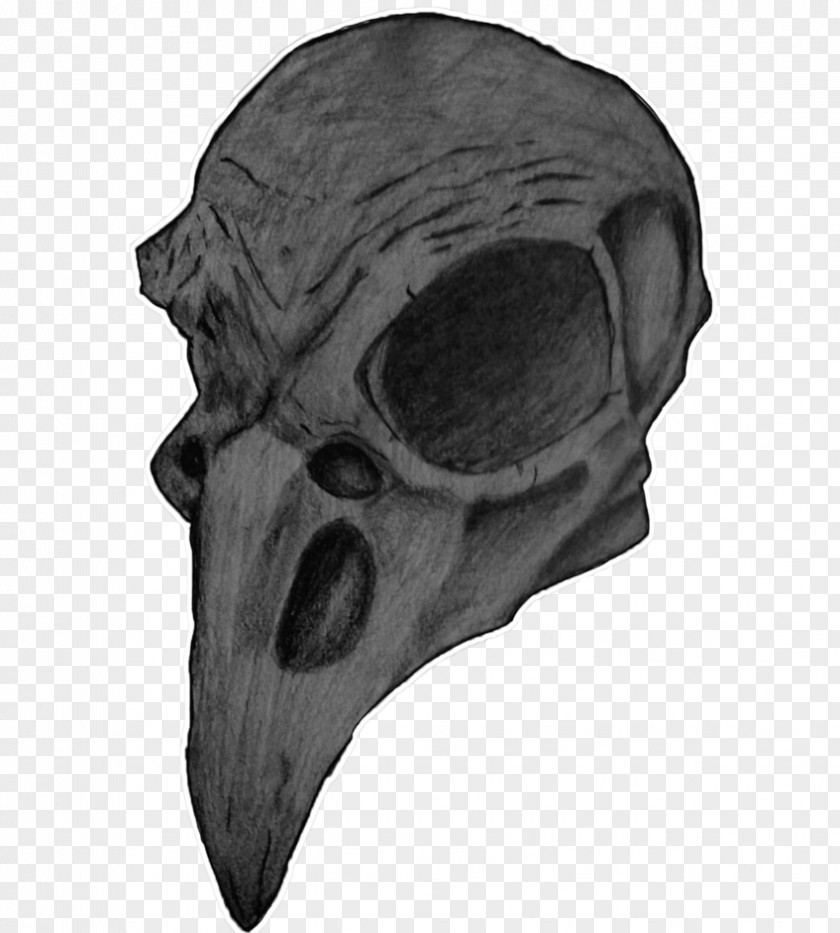 Skull Human Symbolism Bird Nest Art PNG