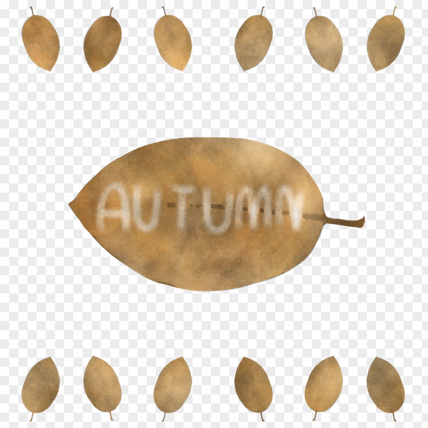Thanksgiving Background Autumn PNG