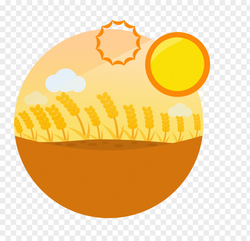 Wheat Flat Material Clip Art PNG