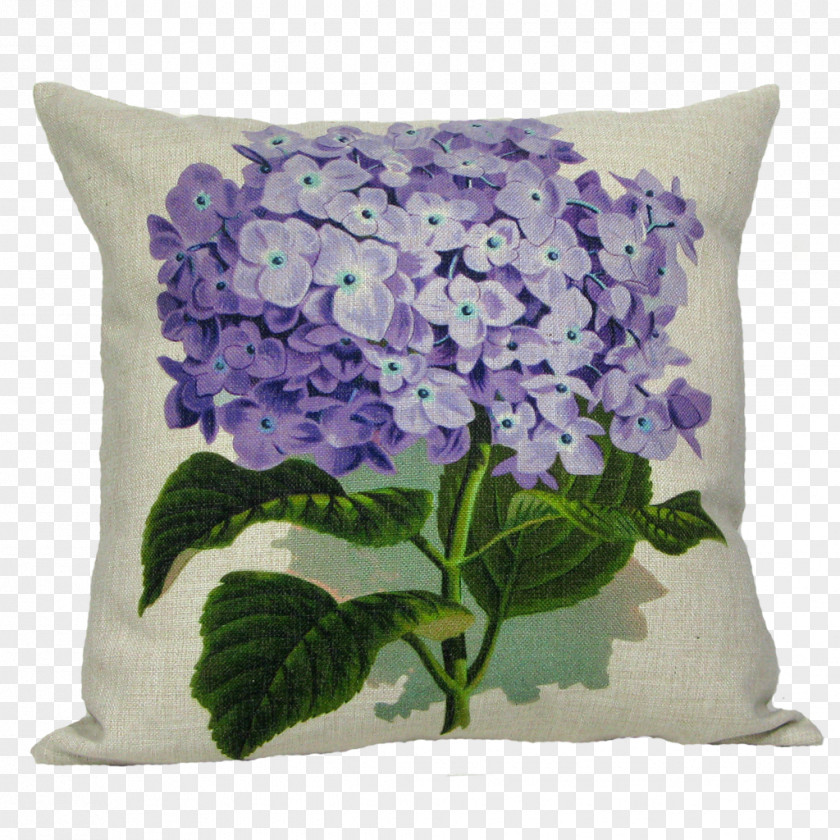 Hydrangea Color Mother's Day Clip Art PNG