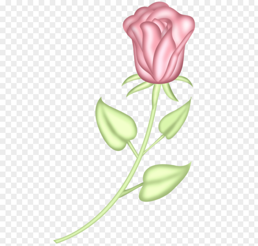 Pink Tulips Tulip Flower Icon PNG