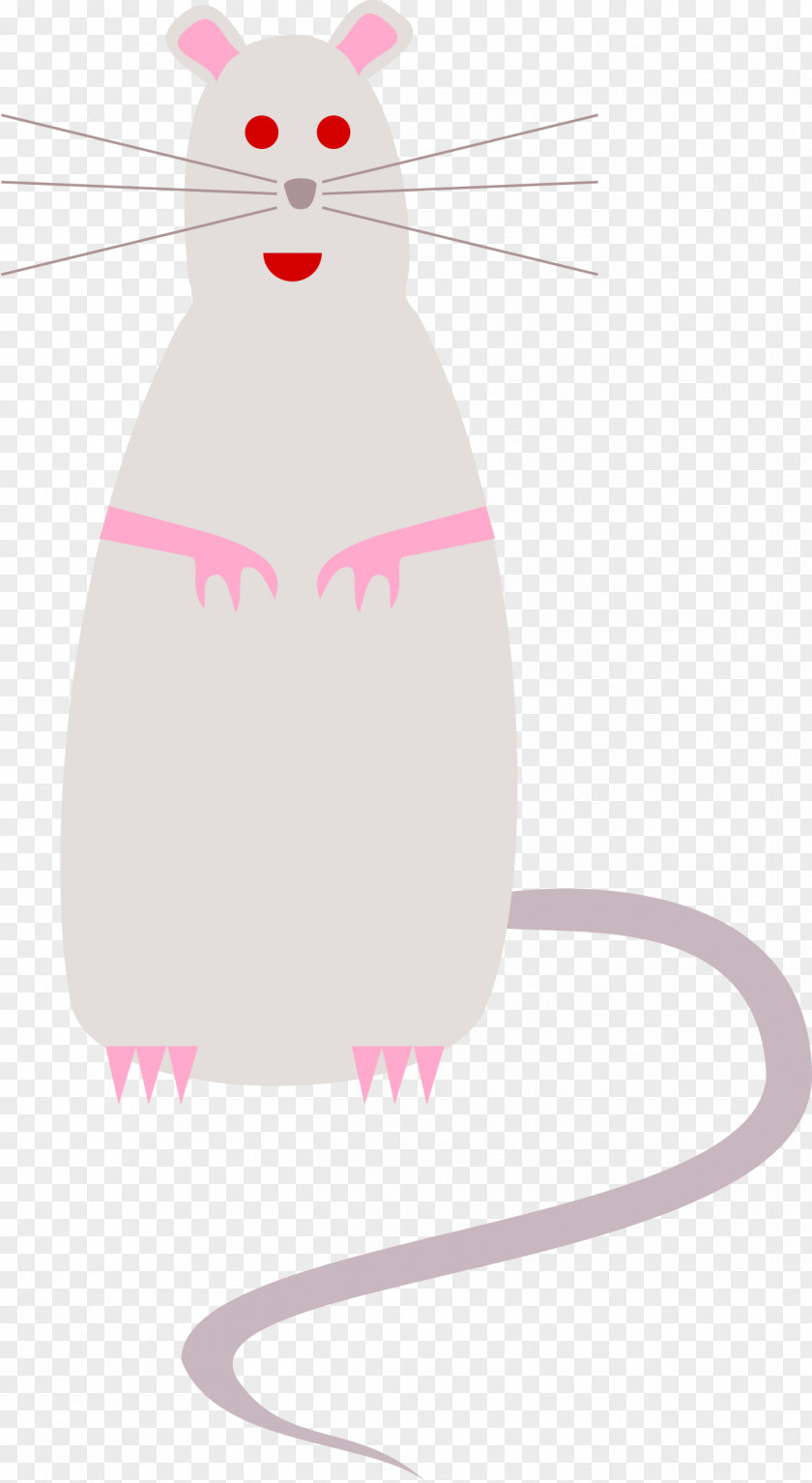 Rat Mouse Whiskers Clip Art PNG