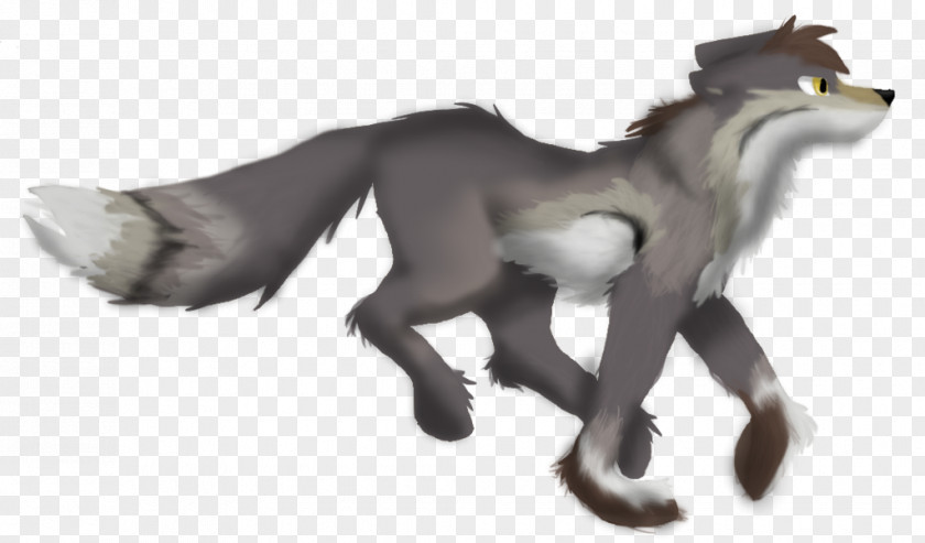 Tried Gray Wolf Fauna Fur Snout Wildlife PNG