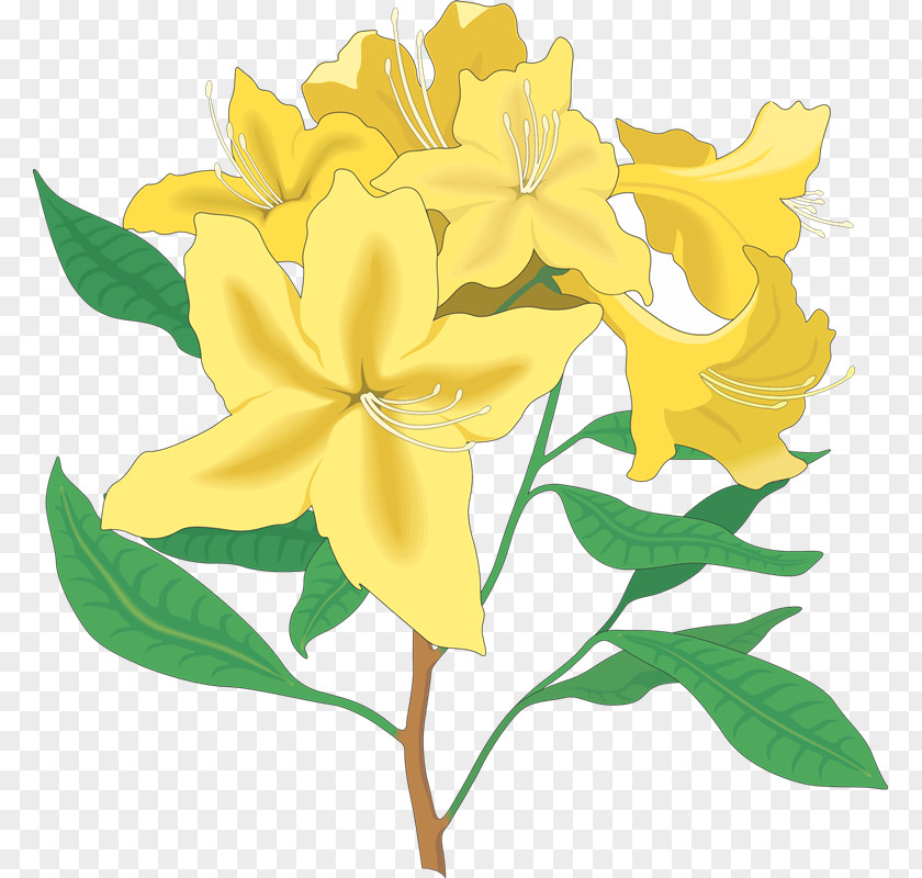 36 Floral Design Flower Rhododendron Clip Art PNG